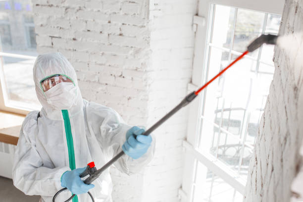 Best Mold Odor Removal Services  in Glenshaw, PA